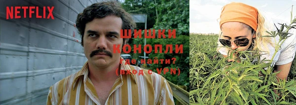 таблы Няндома