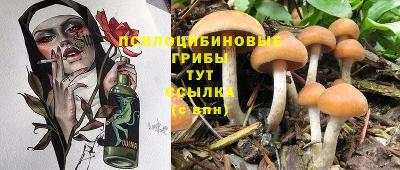 Галлюциногенные грибы MAGIC MUSHROOMS  магазин    Зима 