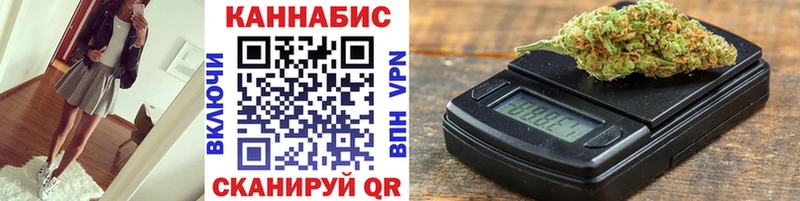 Каннабис планчик Зима